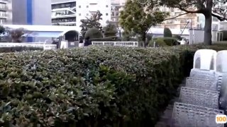 二零二三七月十二号_小三仙女_1