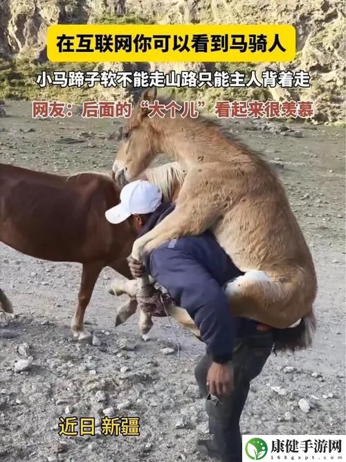 Zoom动物人配人马