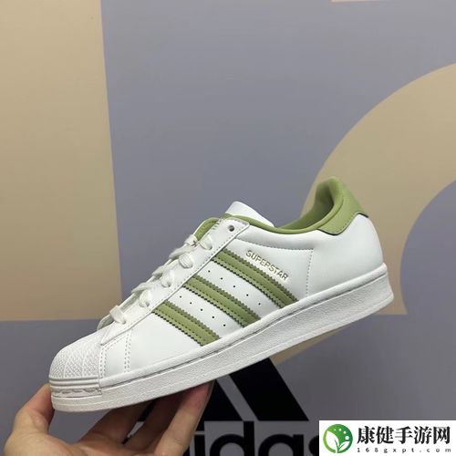 三叶草gy5986