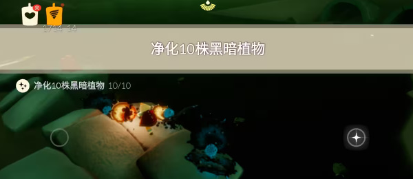 光遇7月31日