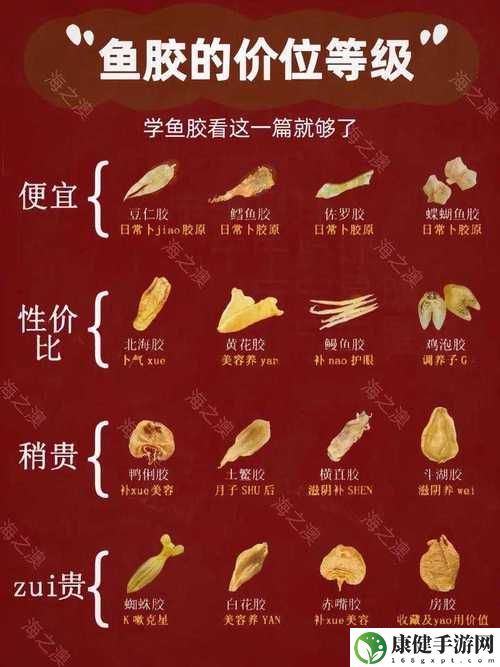 动物胶配方高清视频大全