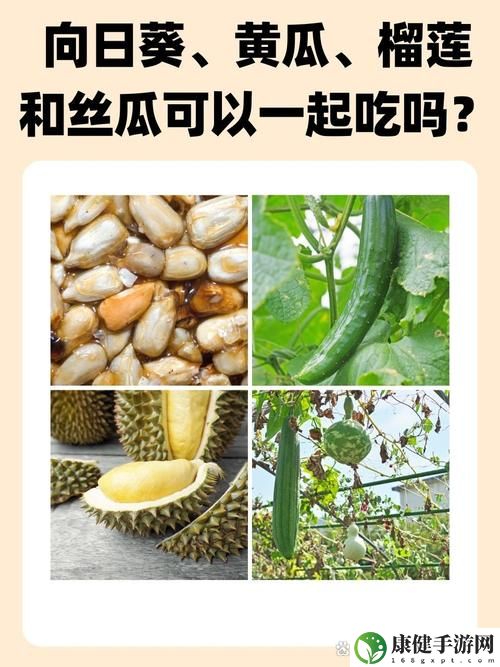 向日葵草莓秋葵黄瓜荔枝丝瓜