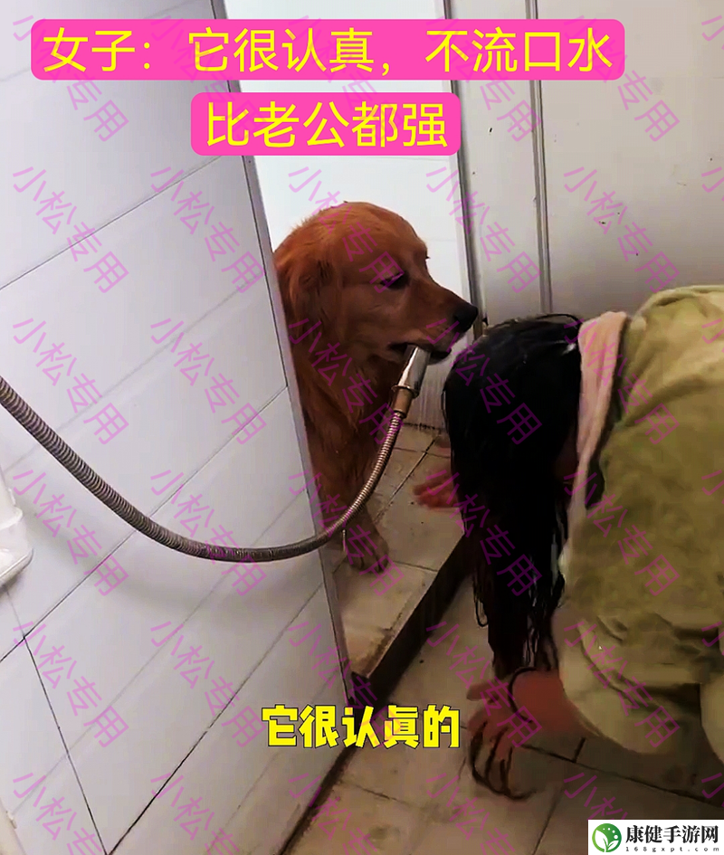 老公不在家狗狗的东西能要吗